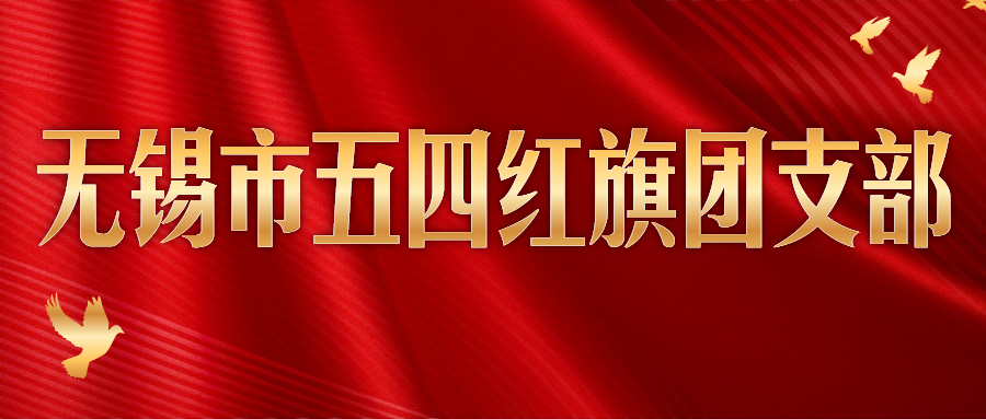 奮斗者正青春丨中辰電纜團支部獲“無錫市五四紅旗團支部”稱號