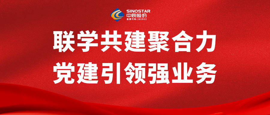 聯(lián)學(xué)共建聚合力 黨建引領(lǐng)強業(yè)務(wù)丨中信寰球商貿(mào)與中辰股份開展黨建共建活動